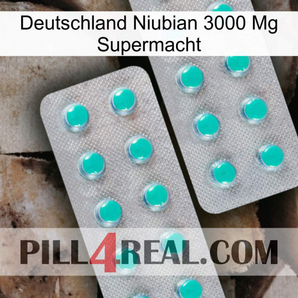 Germany Niubian 3000 Mg Superpower 29.jpg